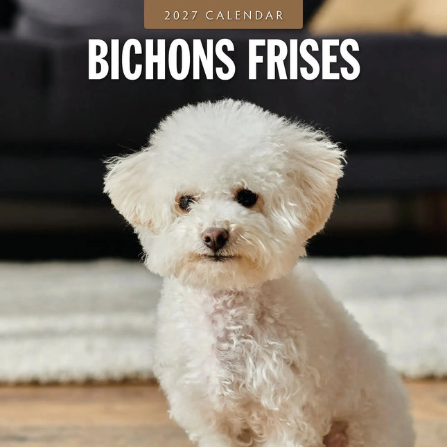 Red Robin Bichon Frise Kalender 2027