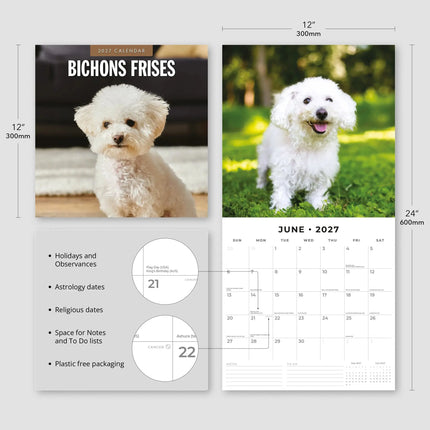Red Robin Bichon Frise Kalender 2027