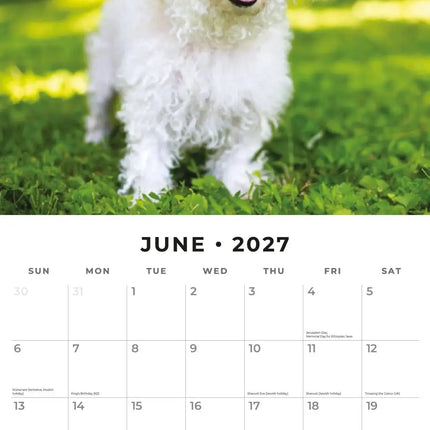 Red Robin Bichon Frise Kalender 2027