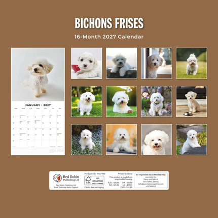 Red Robin Bichon Frise Kalender 2027