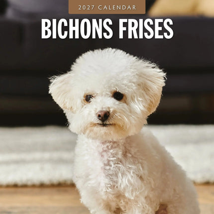 Red Robin Bichon Frise Kalender 2027