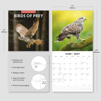 Red Robin Birds Of Prey Kalender 2027