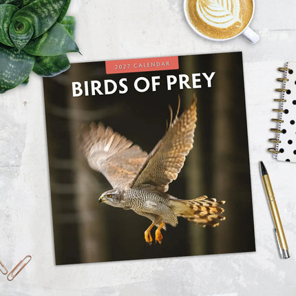Red Robin Birds Of Prey Kalender 2027