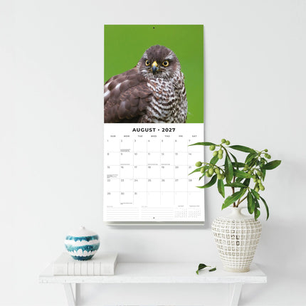 Red Robin Birds Of Prey Kalender 2027