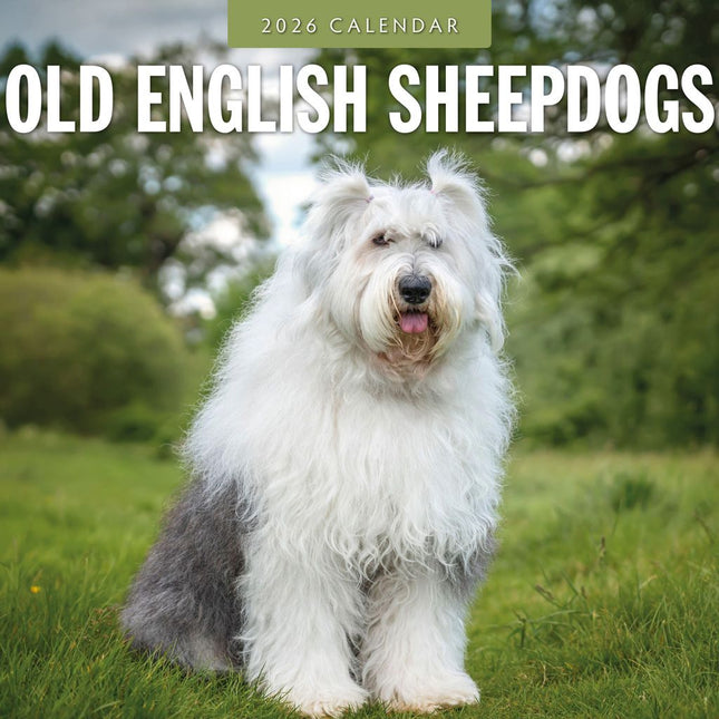 Red Robin Bobtail / Old English Sheepdog Kalender 2026