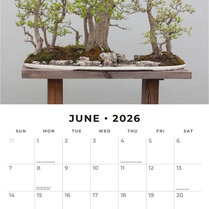 bonsai tree calendar Buy Bonsai Calendar 2025? Quick and easy online