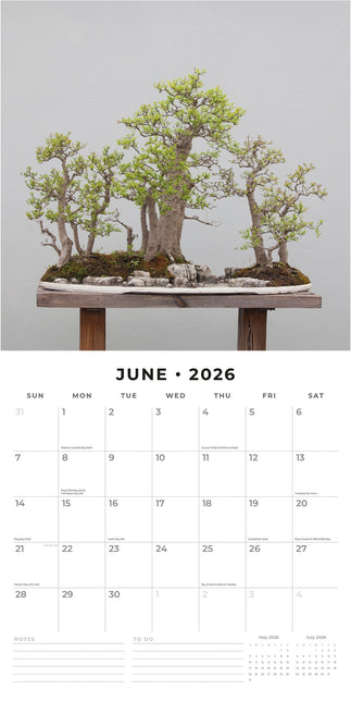Red Robin Bonsai Kalender 2026