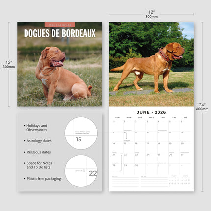 Red Robin Bordeaux Dog Kalender 2026