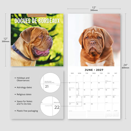 Red Robin Bordeaux Dog Kalender 2027