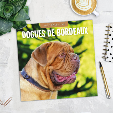 Red Robin Bordeaux Dog Kalender 2027