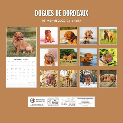 Red Robin Bordeaux Dog Kalender 2027