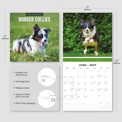 Red Robin Border Collie Kalender 2027