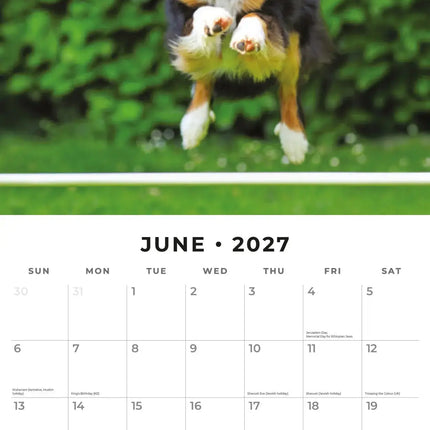 Red Robin Border Collie Kalender 2027