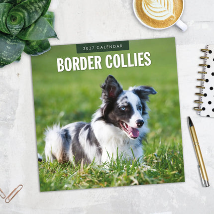 Red Robin Border Collie Kalender 2027