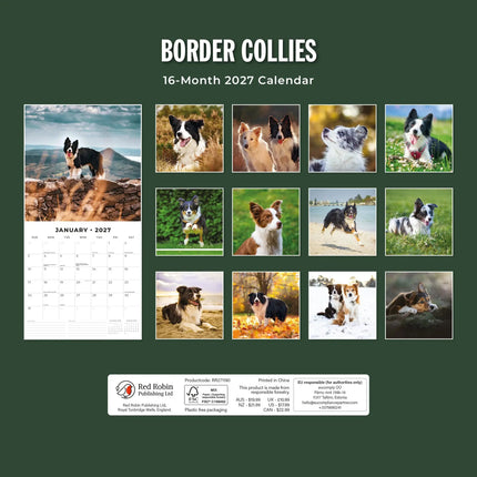 Red Robin Border Collie Kalender 2027