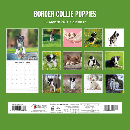 Red Robin Border Collie Puppies Kalender 2026
