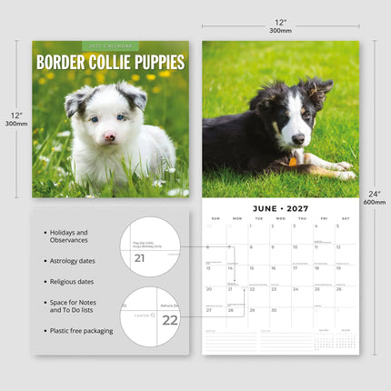 Red Robin Border Collie Puppies Kalender 2027