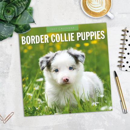 Red Robin Border Collie Puppies Kalender 2027