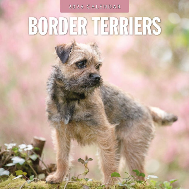 Red Robin Border Terrier Kalender 2026