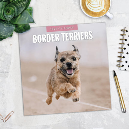 Red Robin Border Terrier Kalender 2026