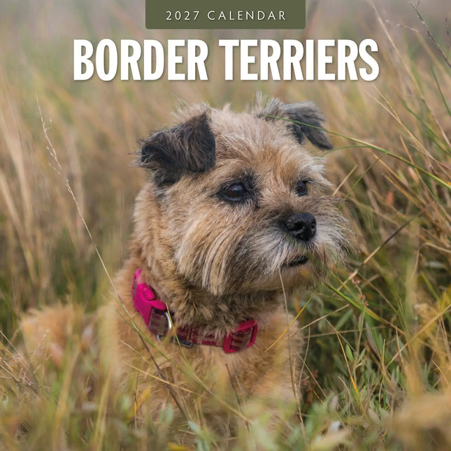 Red Robin Border Terrier Kalender 2027
