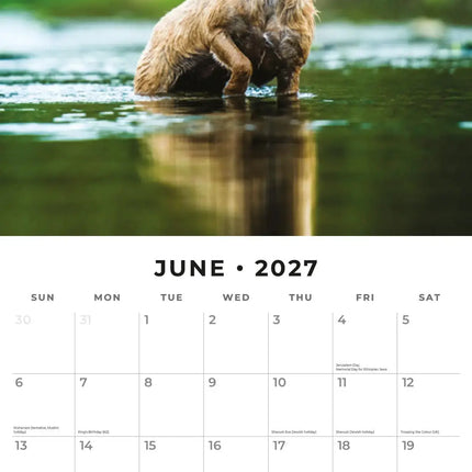 Red Robin Border Terrier Kalender 2027
