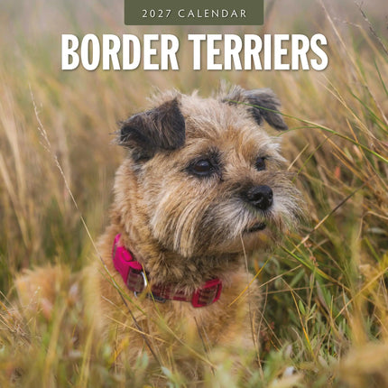Red Robin Border Terrier Kalender 2027