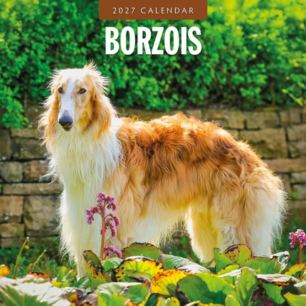 Red Robin Borzois Kalender 2027