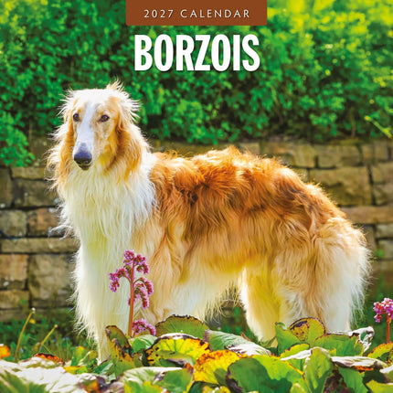 Red Robin Borzois Kalender 2027