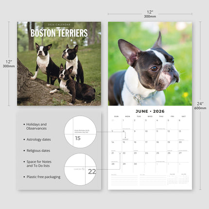 Red Robin Boston Terrier Kalender 2026