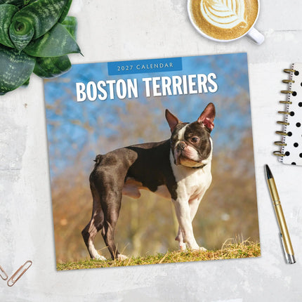 Red Robin Boston Terrier Kalender 2027