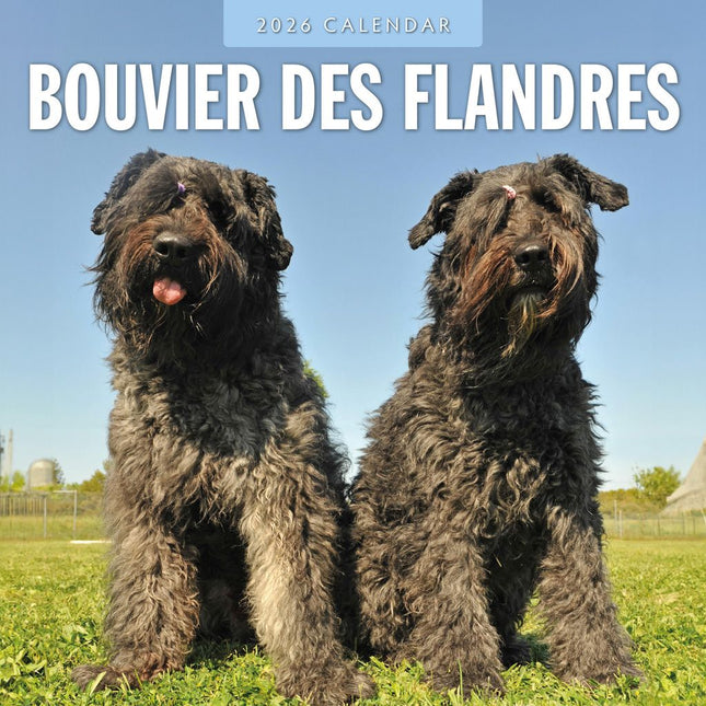 Red Robin Bouvier Kalender 2026