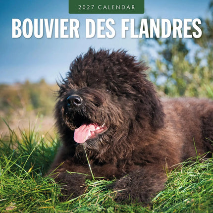 Red Robin Bouvier Kalender 2027