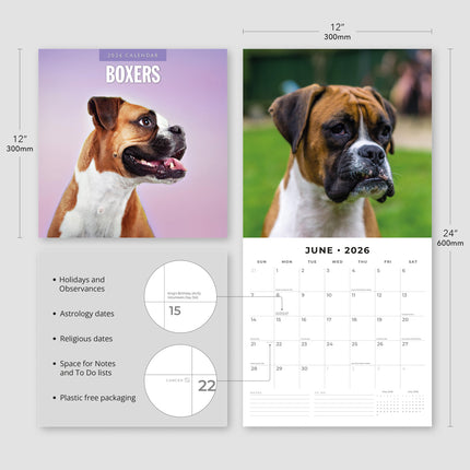 Red Robin Boxer Kalender 2026