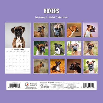 Red Robin Boxer Kalender 2026