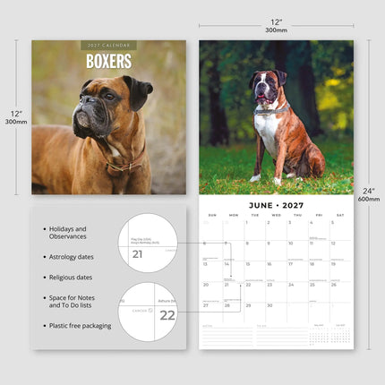 Red Robin Boxer Kalender 2027