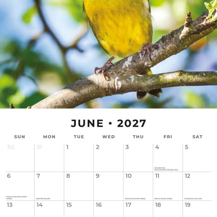 Red Robin British Garden Birds Kalender 2027