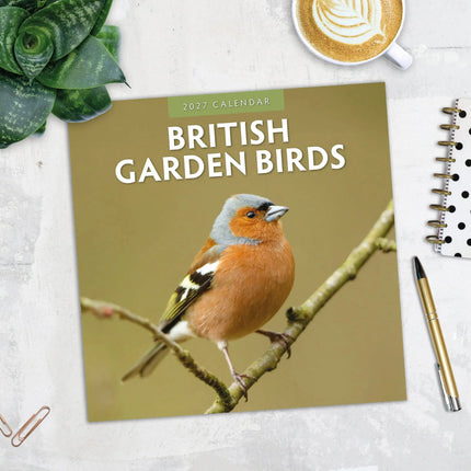 Red Robin British Garden Birds Kalender 2027