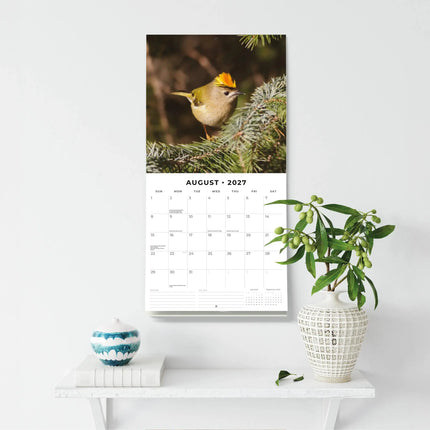 Red Robin British Garden Birds Kalender 2027