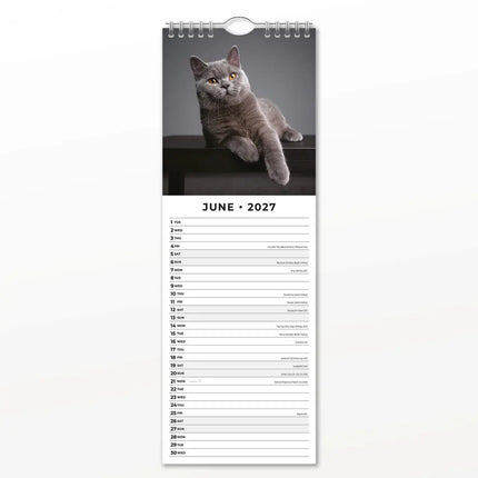 Red Robin Britse Korthaar Slimline Kalender 2027