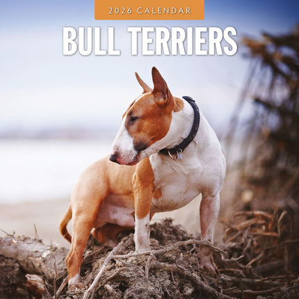 Red Robin Bull Terrier Kalender 2026