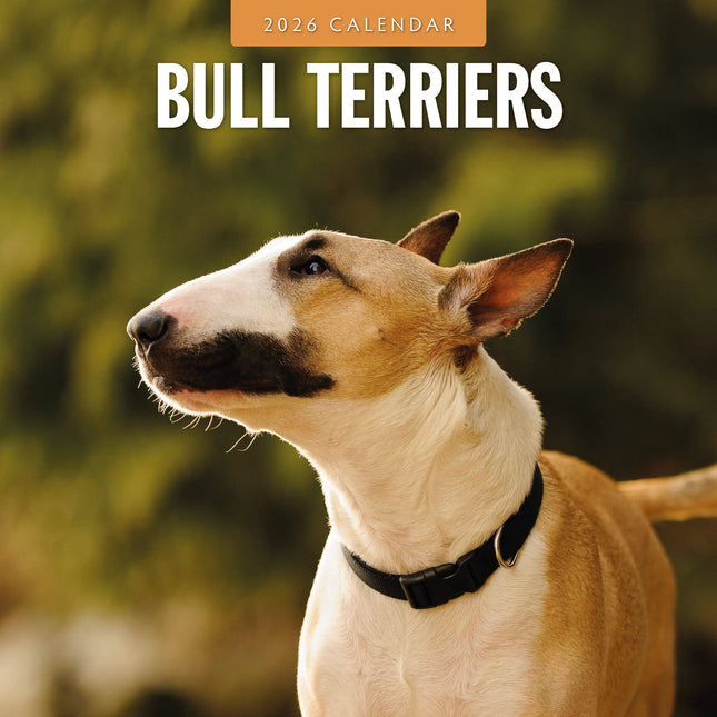 Red Robin Bull Terrier Kalender 2026
