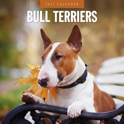 Red Robin Bull Terrier Kalender 2027