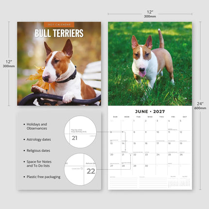 Red Robin Bull Terrier Kalender 2027