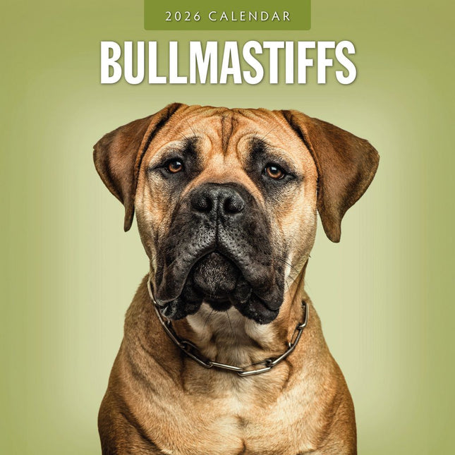 Red Robin Bullmastiff Kalender 2026