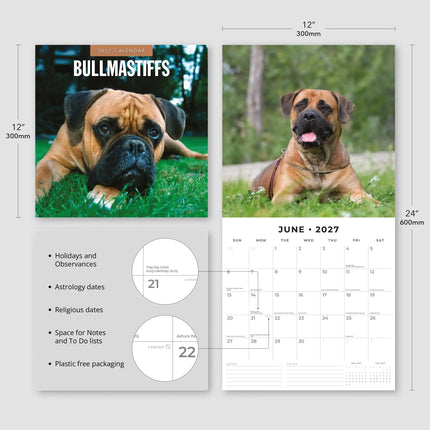 Red Robin Bullmastiff Kalender 2027