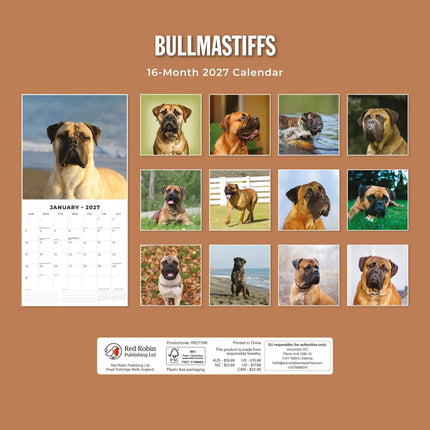 Red Robin Bullmastiff Kalender 2027