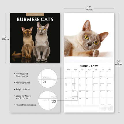 Red Robin Burmees Kalender 2027