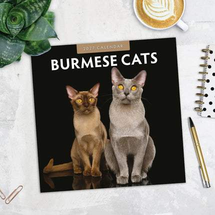 Red Robin Burmees Kalender 2027