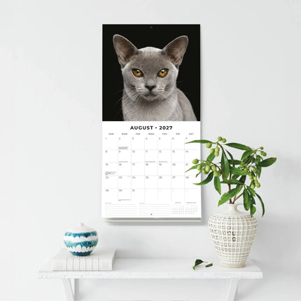 Red Robin Burmees Kalender 2027